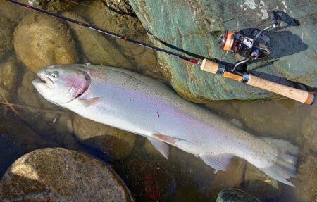 雪降る天竜川でがんばる ～天竜川ルアーフライテンカラ専用区～